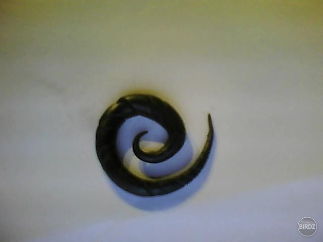 fimo