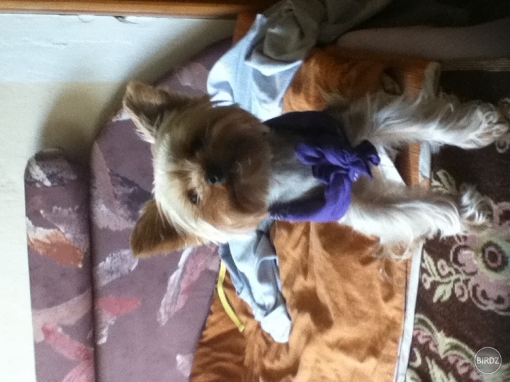 Annie :)