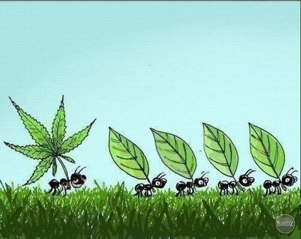 ... :D
