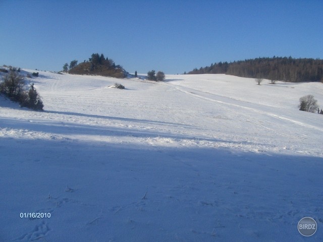 Obrázok