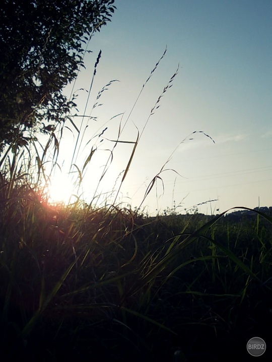 ..summer.. 