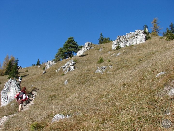 Obrázok