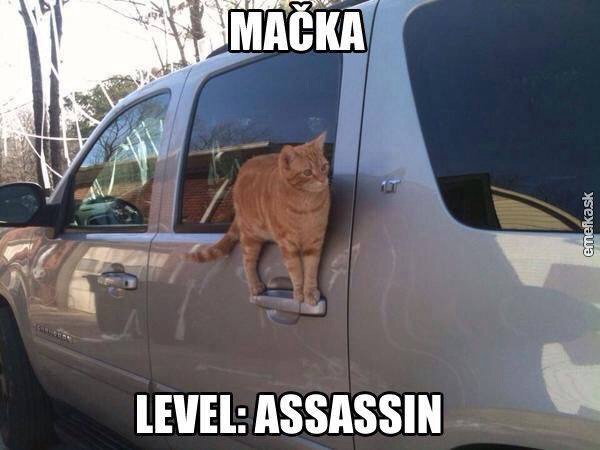 :D 