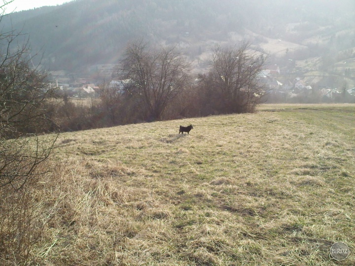 Obrázok
