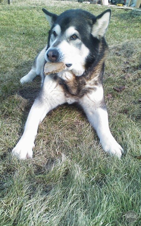 R.I.P. Teddy :(