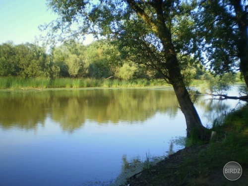 Klin nad Bodrogom - rybárska výprava na juh