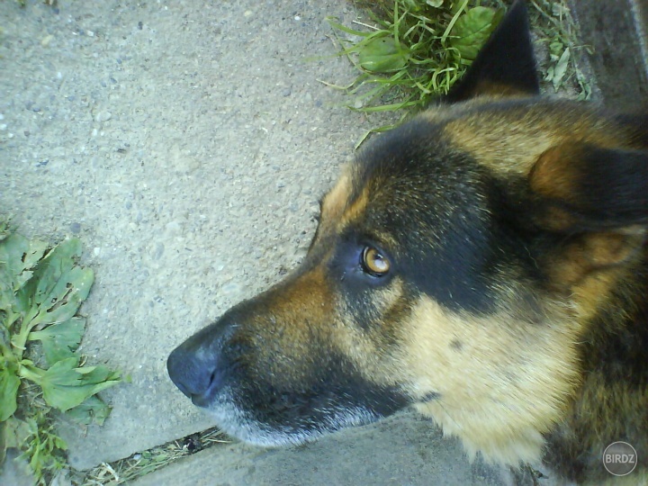 mojeee...:3