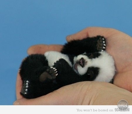 so lovely *_*