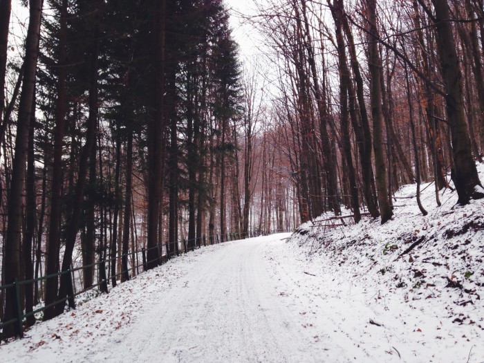 Obrázok