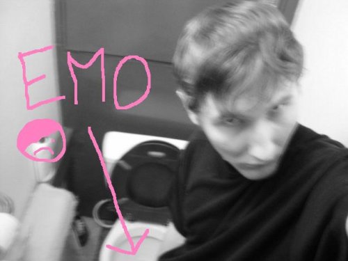 Emo - down the toilet