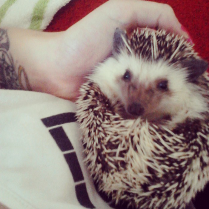 Čistá láska toto <3