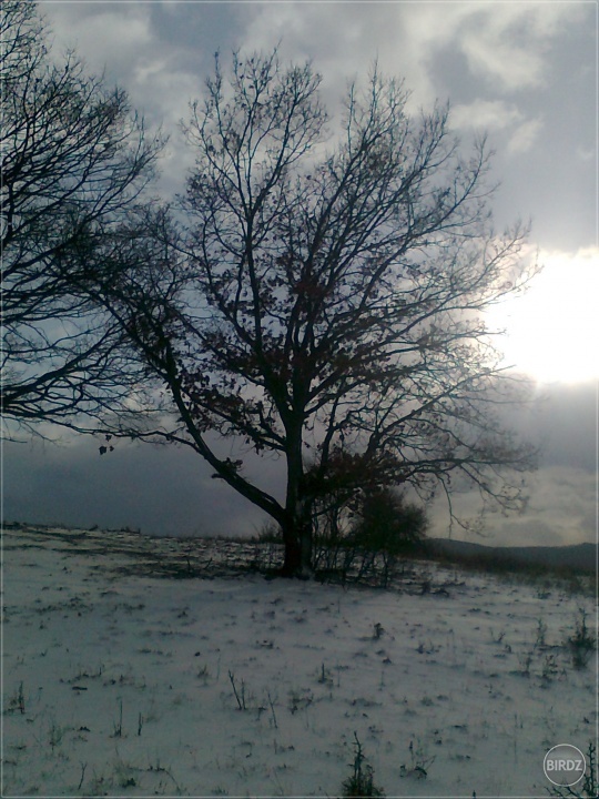 Obrázok