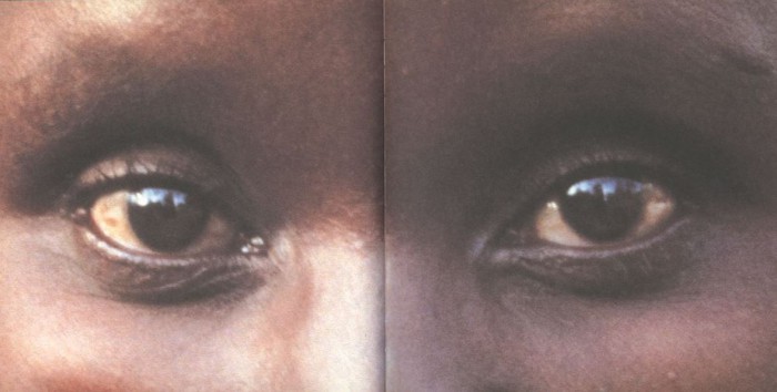 Alfredo Jaar (Eyes of Gutete Emerita)