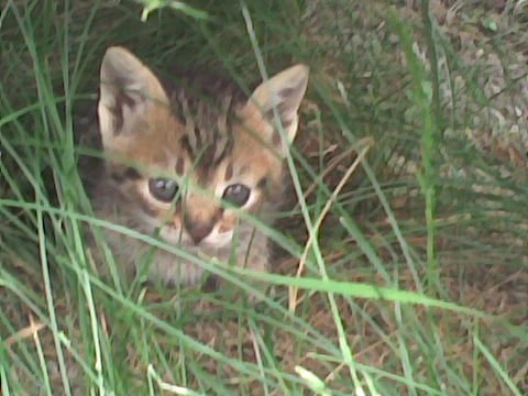 mooyee maciatkoo :)