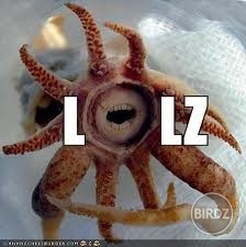 Obrázok