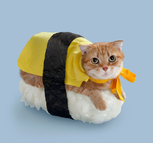 mňau