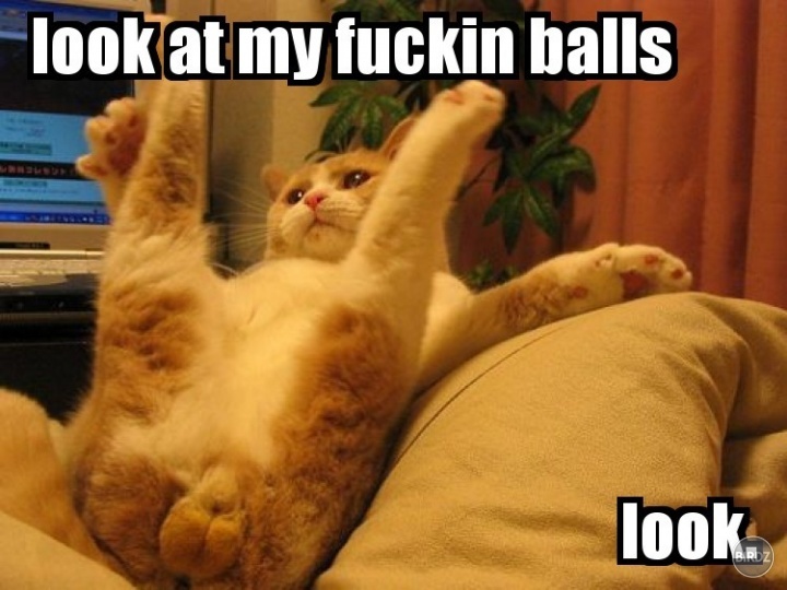 btb! on ur fuckin balls! :D 