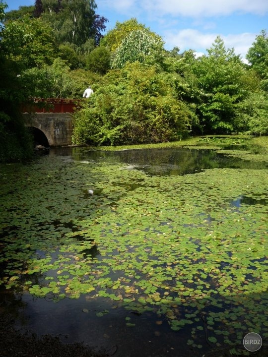Obrázok