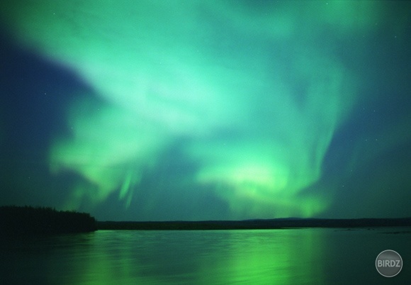 Aurora 3