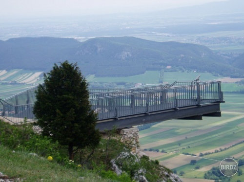 Skywalk