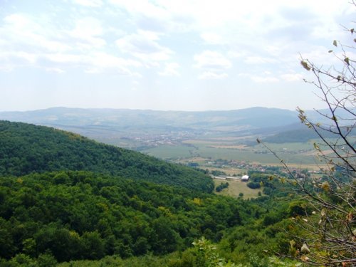 kalamárka