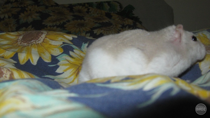 láska :*