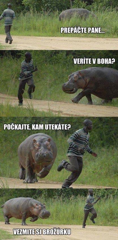 :DDDD