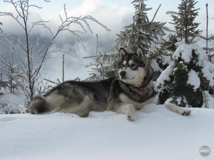 Aliz

www.kenaifjords.sk
https://www.facebook.com/Kenai.Fjords
