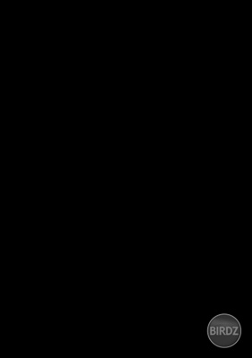 Obrázok