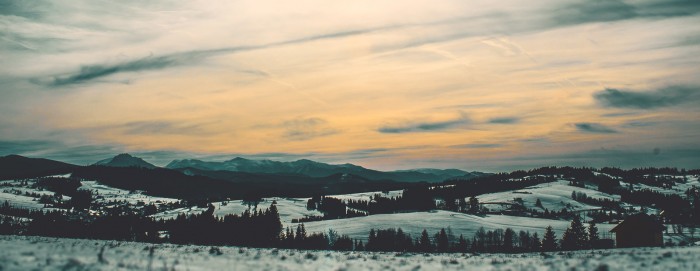 Orava