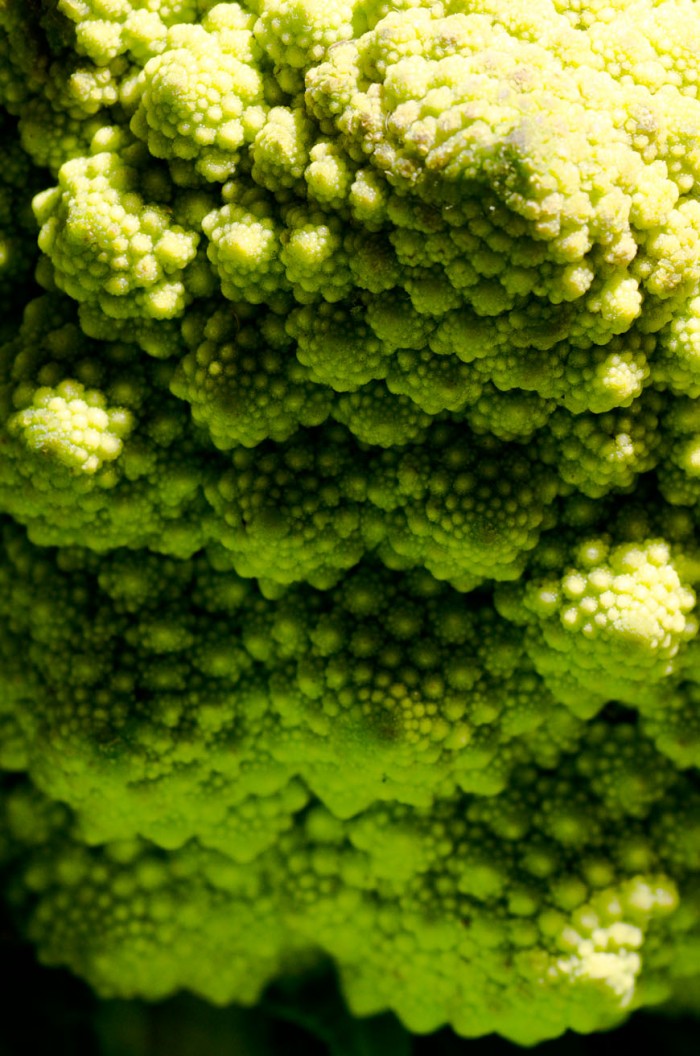 romanesco 
fractalesco
