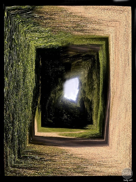Obrázok