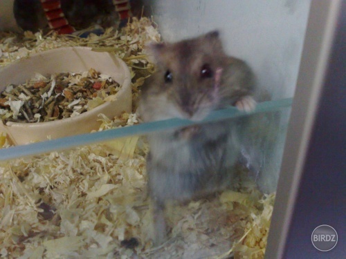 Jaky mileny skrecek :) aj ja scem :D....Foto by: Narutofil !