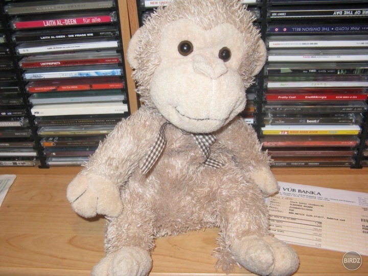 Moja opička Radka, ktorú milujem odkedy som ju v Júli 2008 dostal od osoby s rovnakým menom. :) 