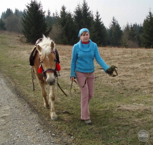 Obrázok