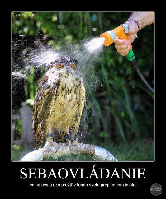 Obrázok