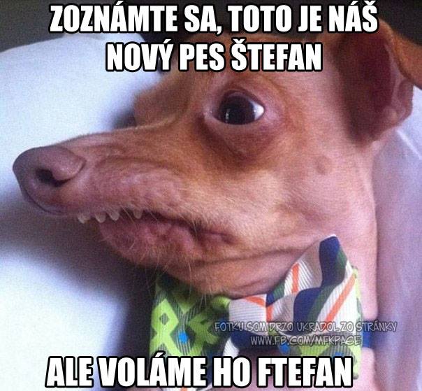 podelím sa s vami o kúsok :D:D:D:D:D