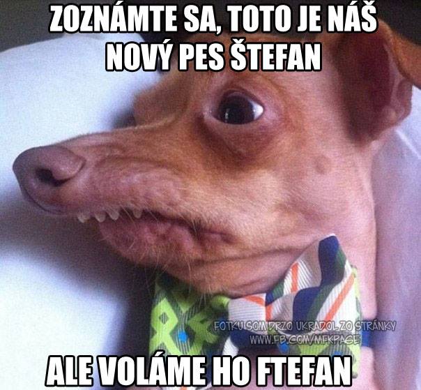 podelím sa s vami o kúsok :D:D:D:D:D