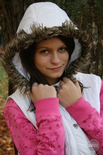 Obrázok