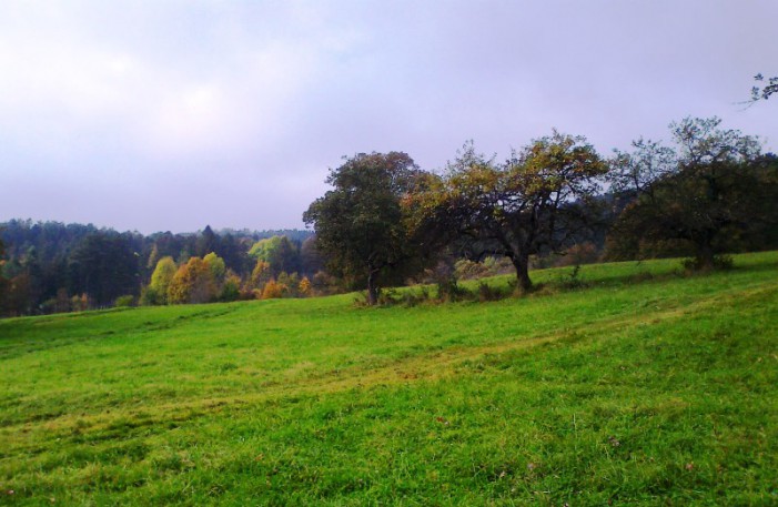 Obrázok