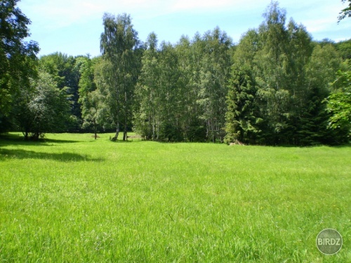 Hájik