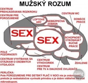 Obrázok