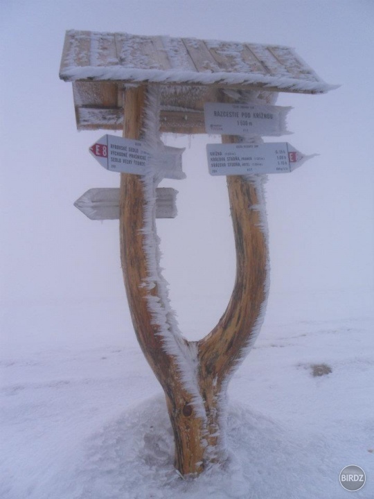 Obrázok