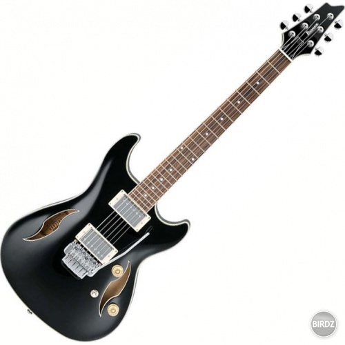 my guitar - my love