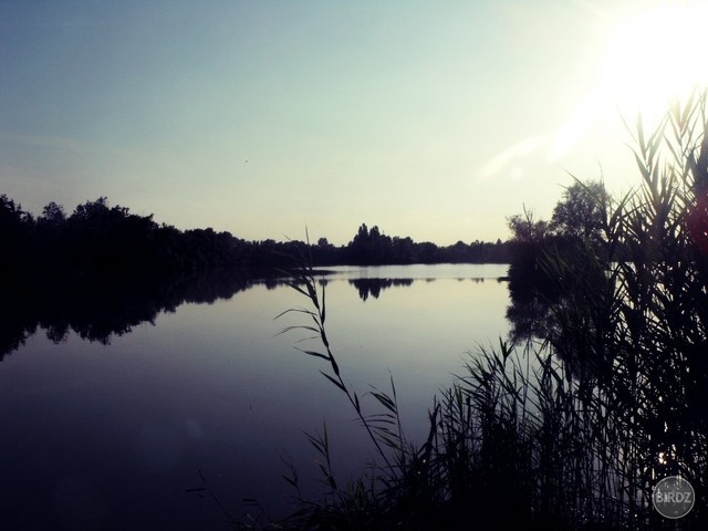 Obrázok