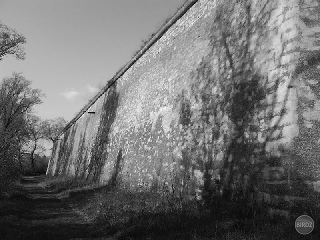 the wall ...múr väznice...