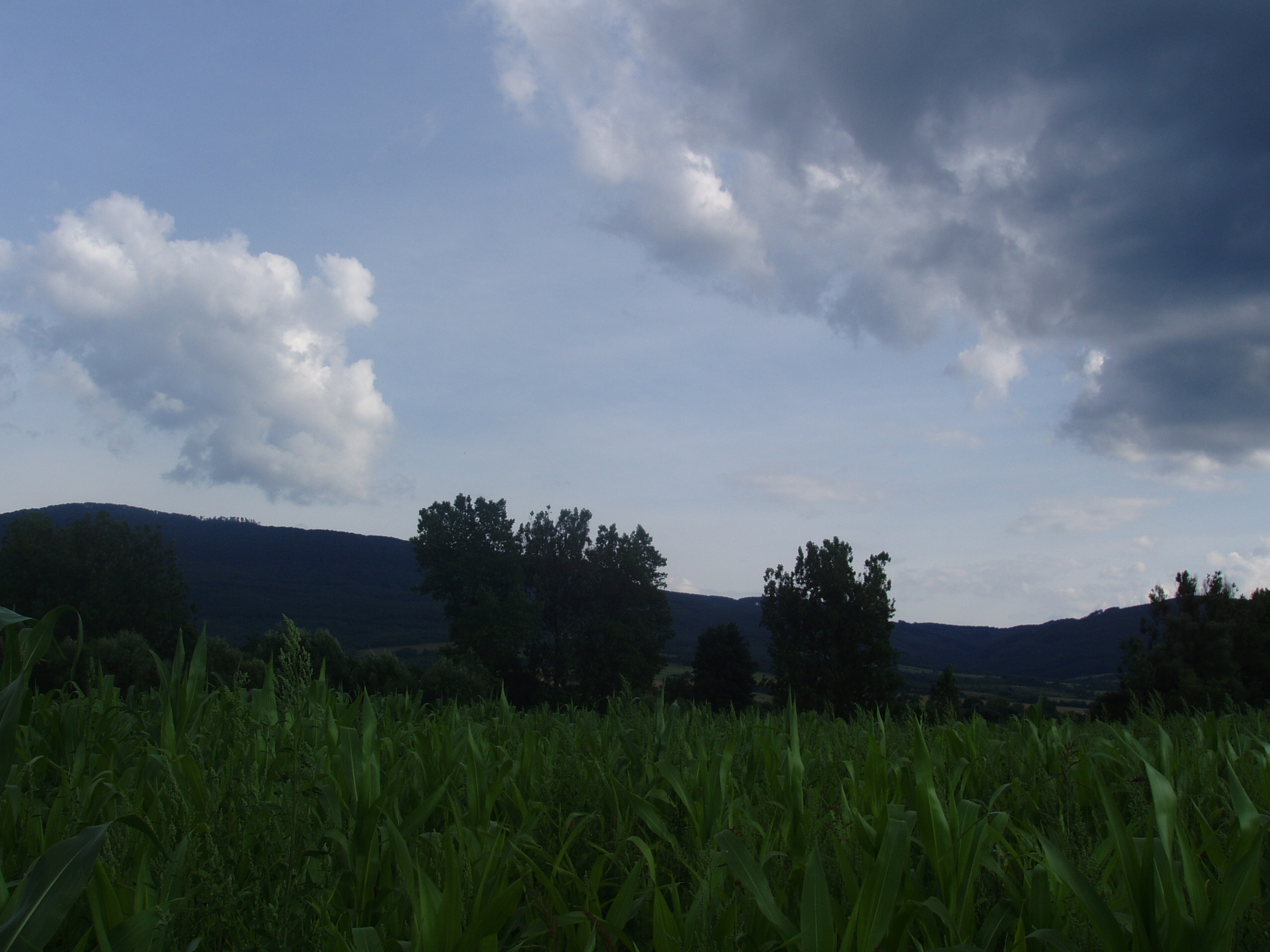 Obrázok