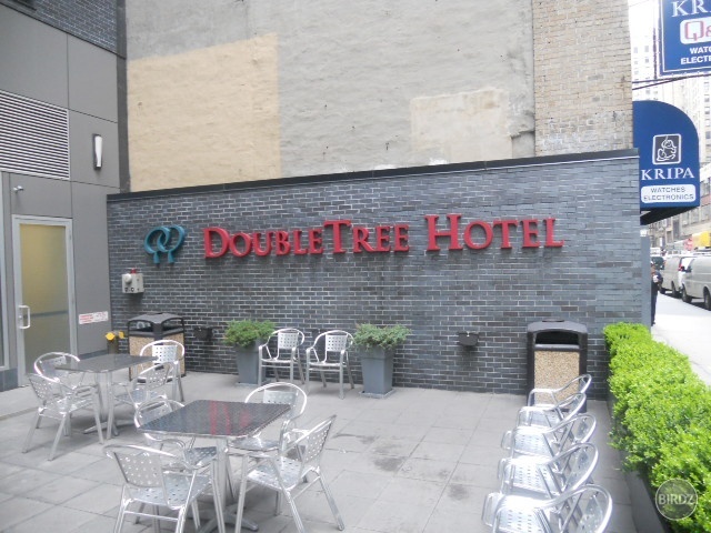 ta nas hotel , hm , teda logo hotela na stene =D