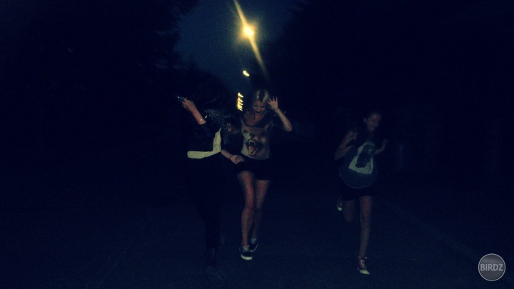 running to the edge of the world