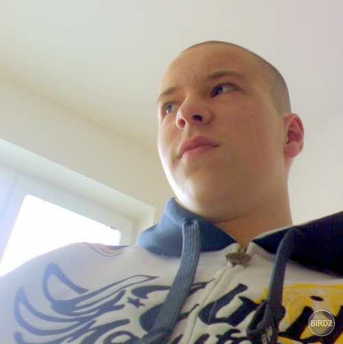 Obrázok